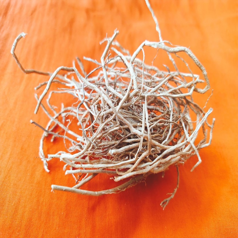 अश्वगंधा की जड़ / Ashwagandha ka Root
